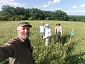 Ученые провели летние ботанические исследования в Саратовской области